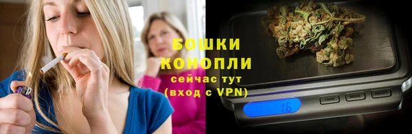 стаф Беломорск