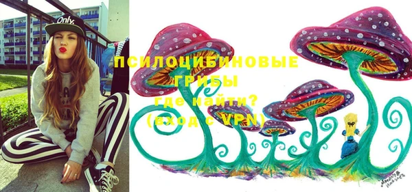 бошки Богородск