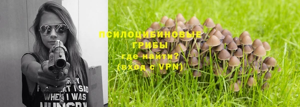 стаф Беломорск