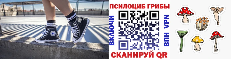 Псилоцибиновые грибы прущие грибы  купить наркотики сайты  сайты даркнета официальный сайт  Бологое 