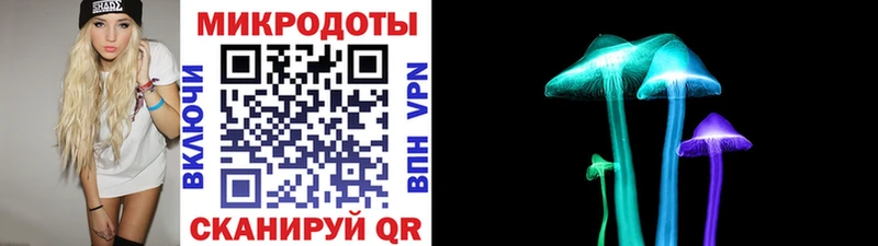 Псилоцибиновые грибы Cubensis Бологое